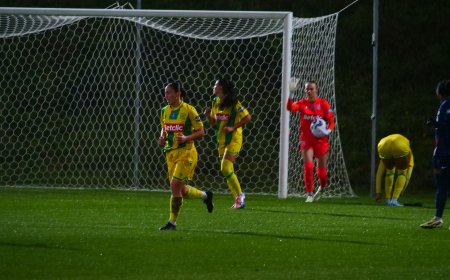 Arkema Première Ligue - FC Nantes Féminines - Solides derrières, les Nantaises se rapprochent du maintien