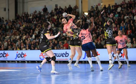 D2F Handball :  Entre départs et arrivées, le Nantes Handball Féminin (NHF) annonce de nombreuses signatures