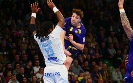 LiquiMoly Starligue : HBC NANTES 32 - 25 Chartres : Une victoire qui coute cher