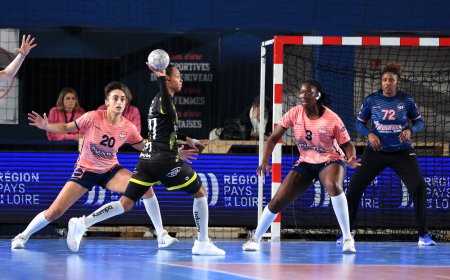 Nantes Handball Féminin (NHF) : Dagui Assana, la vie en rose      