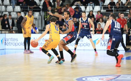 Pro B : Nantes Basket Hermine : Le NBH face à la loi des séries      
