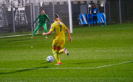 D1 Arkema : FC Nantes Féminines 0 - 2 OL :  Nantes manque de tranchant face à un Lyon remanié