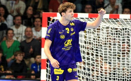 LiquiMoly Starligue : Avantage HBC Nantes pour la place de dauphin