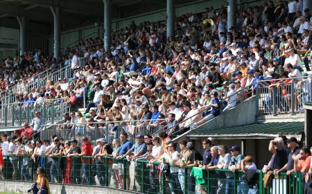 Le Stade Nantais continue de se faire sa place dans la cité des ducs