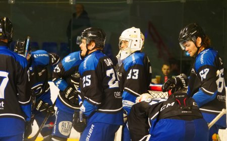 Les Corsaires de Nantes rapatrient Sylvain Roy au poste d'entraîneur