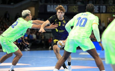 EHF Champions League : HBC Nantes :  Final Four : Le carré magique à la loupe