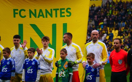 Ligue 1 : FC Nantes : Mercato : les joueurs à la loupe