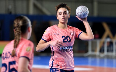 Le NHF dépose les armes