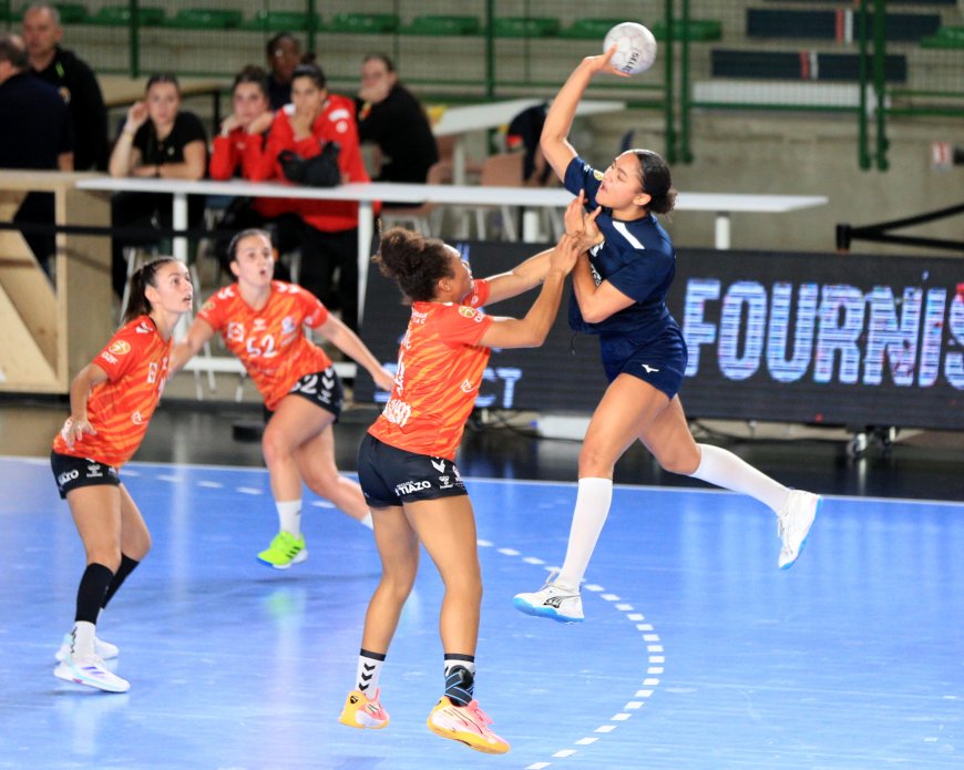 Nantes Handball Féminin : la D2 disparaît, pas le club