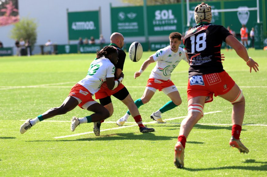 Stade Nantais, la saison de la confirmation