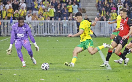 Le week-end du sport nantais : Pour regarder vers le haut