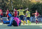 Le Hockey Club de Nantes regarde vers le haut... et vers la salle