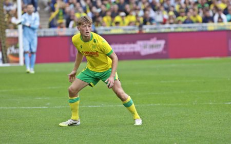 Ligue 1 : FC Nantes : Johann Lepenant : « C'est à nous de bosser pour rendre le peuple nantais heureux. »