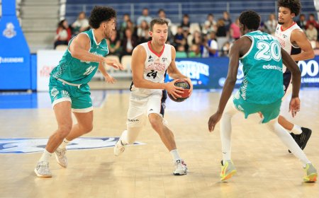 Nantes Basket Hermine : Dylan Van Eyck : « Chez la famille Van Eyck, le basket est un art de vivre »