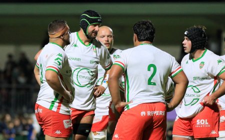 Stade Nantais : Un besoin vital d’enchaîner pour les Éléphants