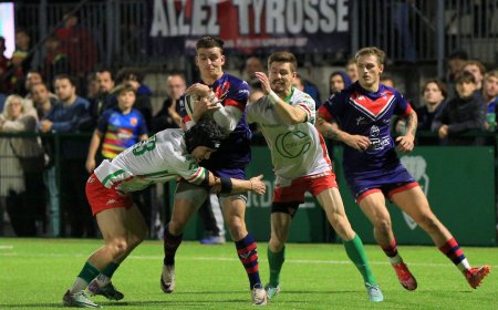 Stade Nantais : Mission ascension avec des retours et un nouvel Éléphant