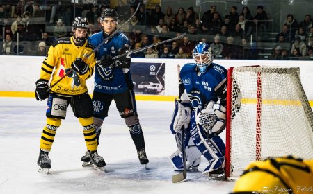 Corsaires de Nantes : William Desmarais : un Canadien en cage