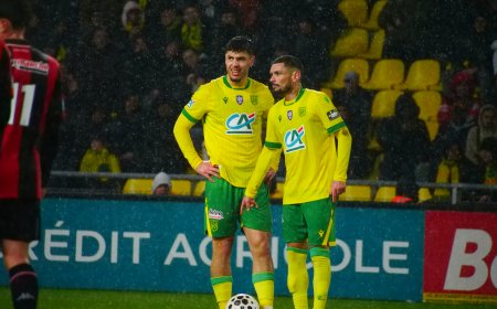 Les résultats nantais : Ils n'ont pas répondu aux attentes