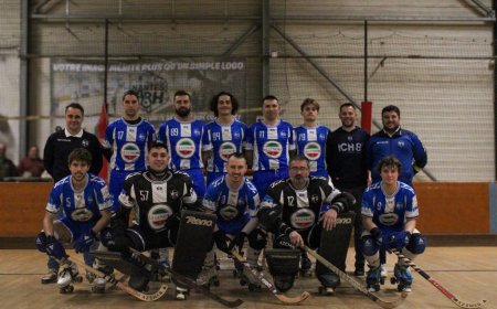 Rink Hockey : Le Nantes ARH sur le point de remonter ?