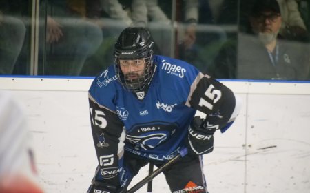 Corsaires : MAINTIEN, MODE D’EMPLOI