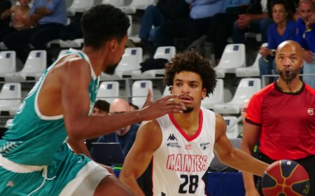Elite 2 : NBH - Châlons-Reims : 95-72 : Nantes se rapproche des play-offs