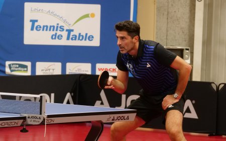 Tennis de table. Nantes arrache son maintien au bout du suspense