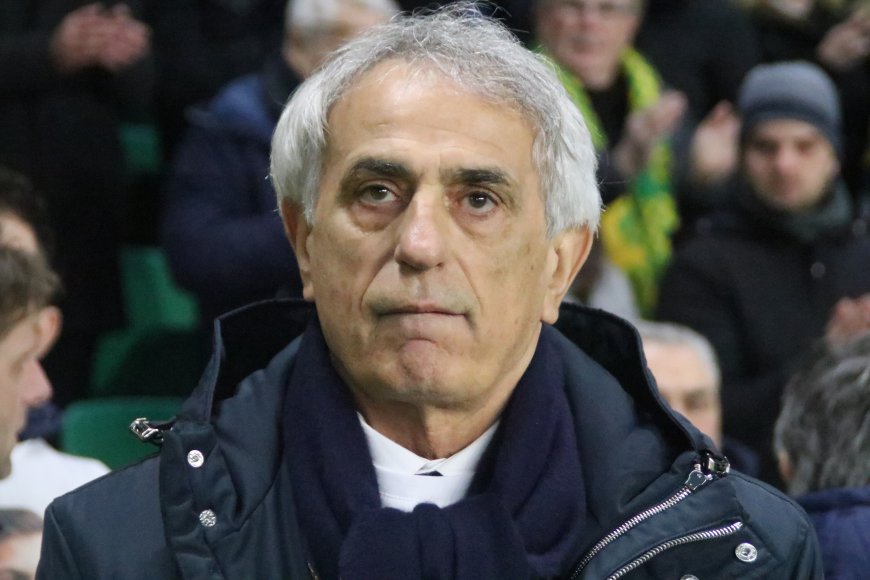 FC Nantes : 10 choses à savoir sur Vahid Halilhodzic