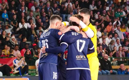 Nantes Métropole Futsal : La Coupe comme priorité ?