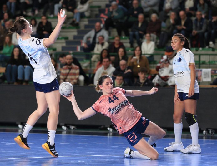 Le HBC Nantes en passe d’englober le NLF : nouveau souffle pour le handball féminin
