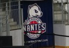 Nantes Basket Hermine : ESPOIRS : La relève s’offre un Final Four !