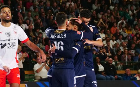 Nantes Métropole Futsal : Une deuxième coupe pour les Eléphants !