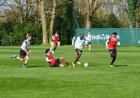 FC Nantes : Quelles rencontres de préparation pour les Canaris ?