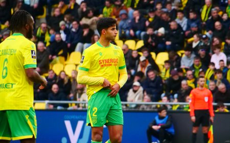 FC Nantes - Ligue 2 : Sera-t-il si facile de remonter ?