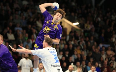 HBC Nantes : Ils ont brillé sur tous les terrains