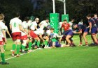 Le Stade Nantais se fait sa place dans le grand bain de l’élite