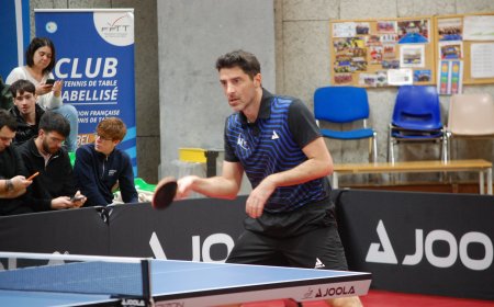 Tennis de Table : Nantes TT« On veut éviter les play-downs »