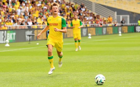 Ligue 2 : EA Guingamp 3 - 3 FC Nantes : Après une remontée au score, les Jaunes et Verts sont privés de leur victoire au bout du bout
