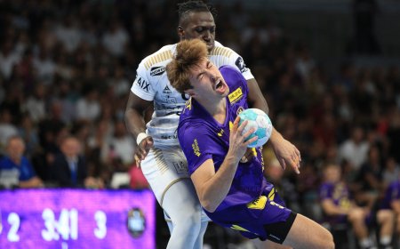 Le débrief du sport nantais : les Nantais tombent de haut